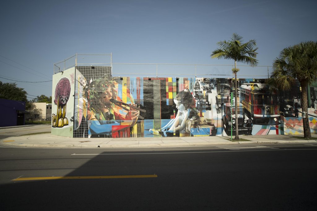 Wynwood-Wall-Art-6-WS